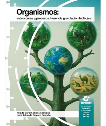 ORGANISMOS estructuras y...