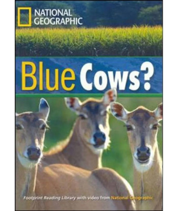 BLUE COWS?