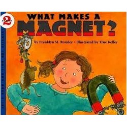WHAT MAKES A MAGNET?